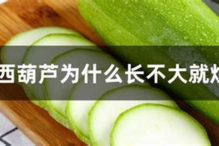 西葫芦的需肥特点和施肥原则是什么