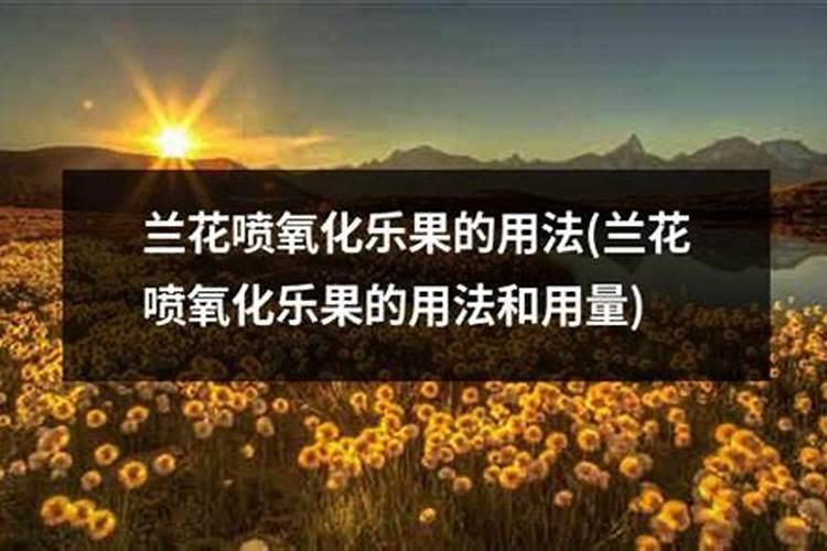 苞舌兰怎么施肥