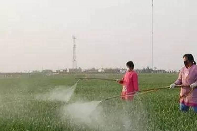 辨别水溶肥真假,这八招绝对好用!