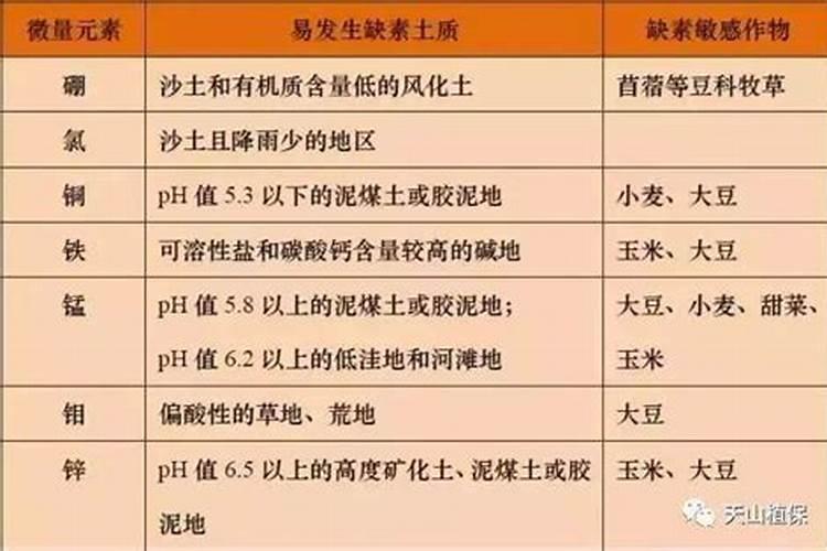 请问什么是中量元素？