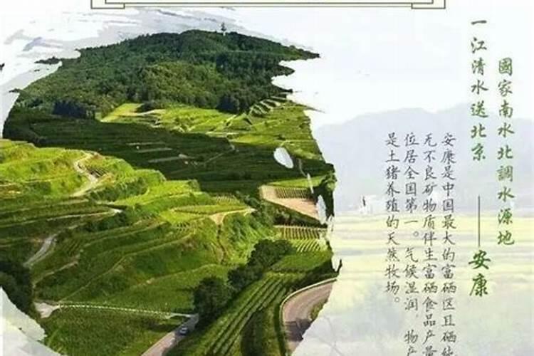 富硒肥料什么牌最好？