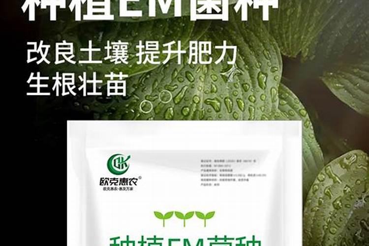 有机肥发酵处理是化学处理吗