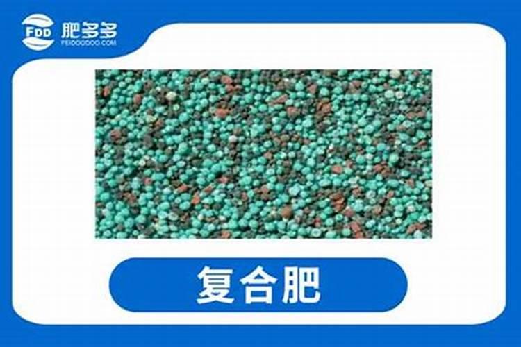 速效肥有哪些