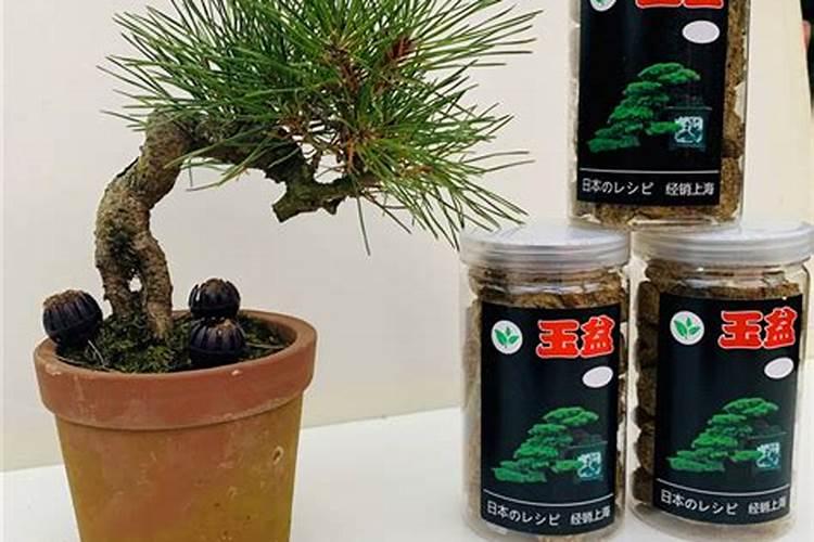 关于养花的基本知识