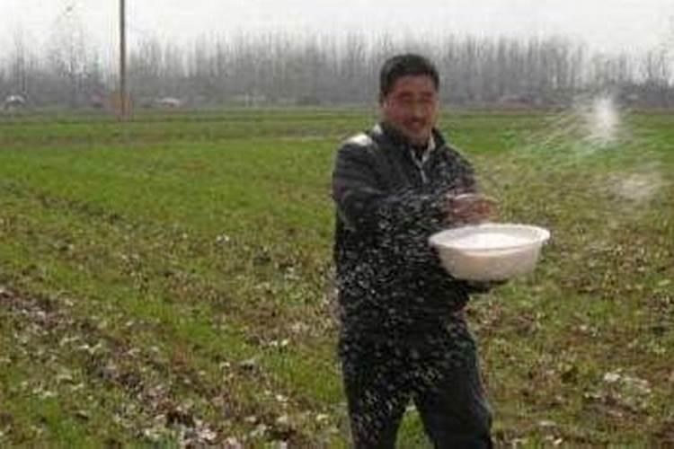 氮磷钾是什么肥料