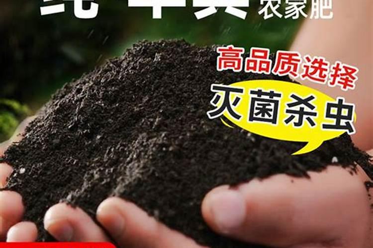 苹果树什么时候用水溶肥,怎么用最好