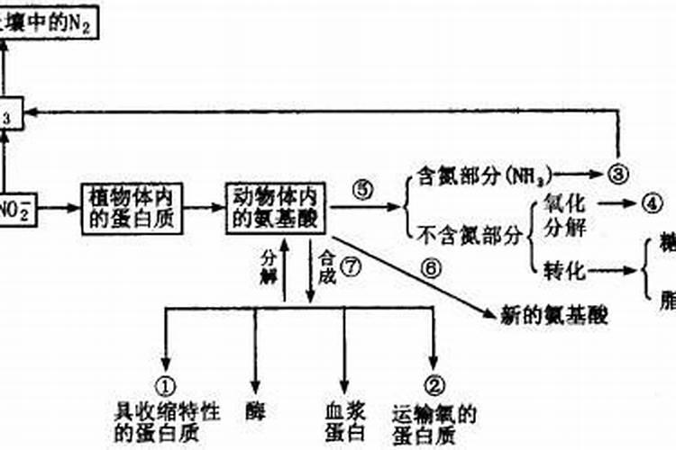天然氮肥有哪些