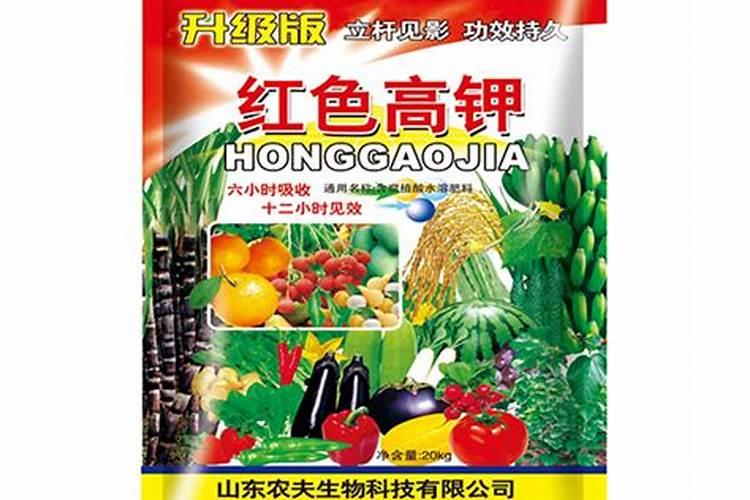种植甘蔗用什么肥料最好