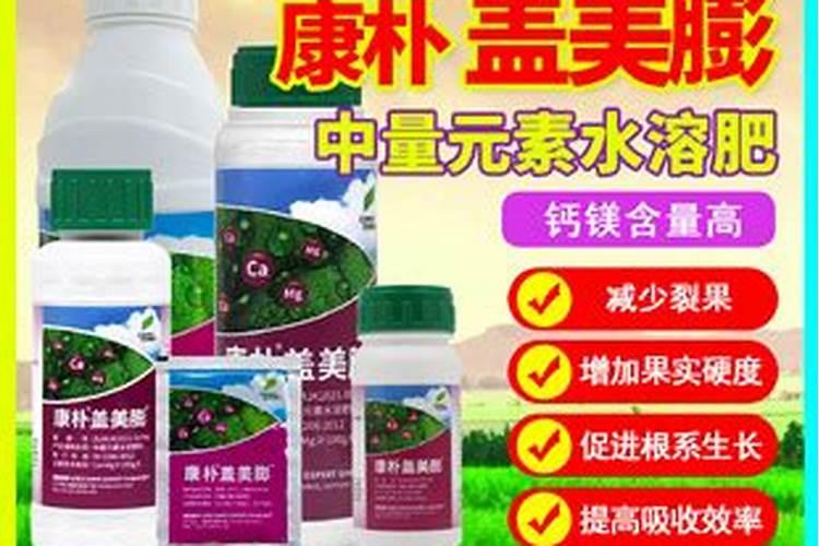 薄荷怎样浇水