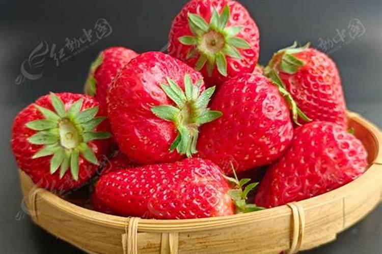 种草莓要施什么肥料才长出又大又甜的果实？