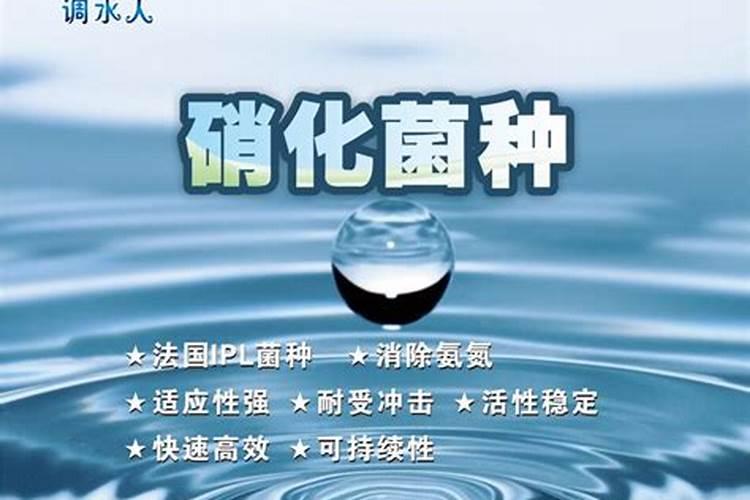 硝化细菌在实际中要怎么运用呀