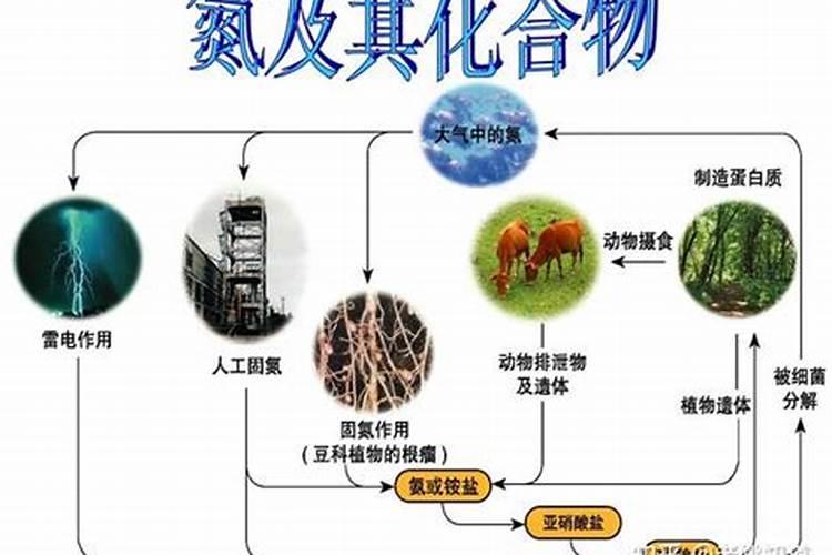 含有氮磷钾三种营养元素的化肥名称是