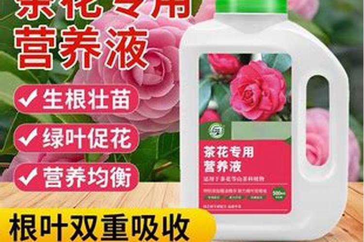 茶花的营养液可以喷洒其它植物嘛
