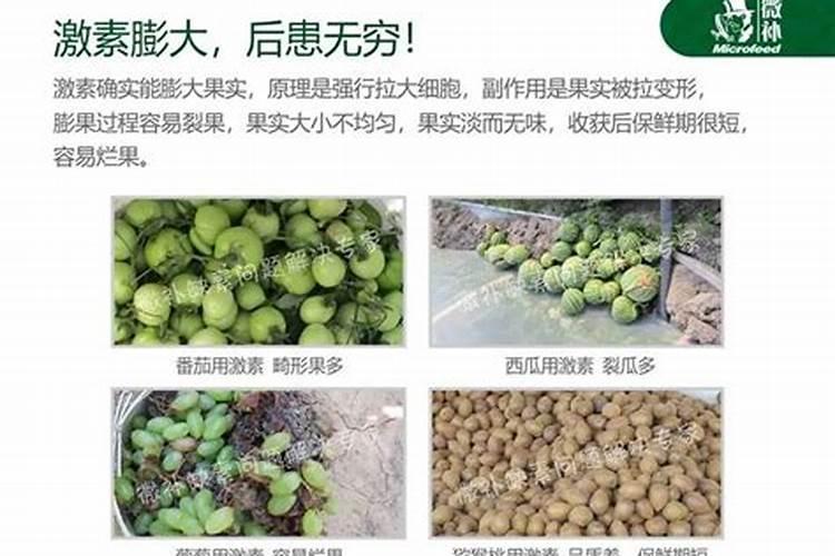 中国水溶肥十大品牌