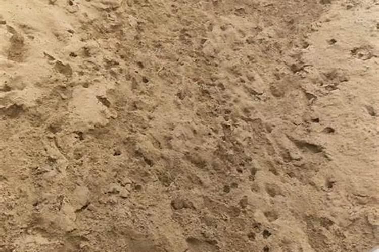 混凝土应用海砂的缺点有哪些