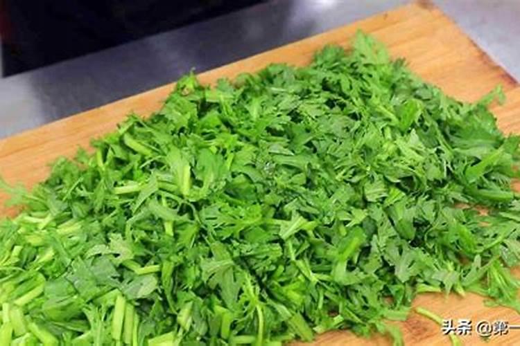 茼蒿菜的种植方法和管理技术