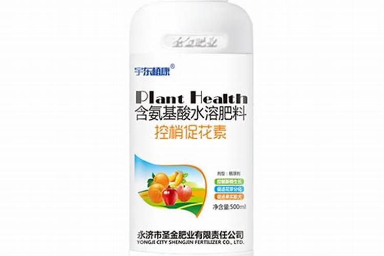 槟榔种植技术与管理