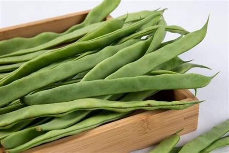 芸豆什么时候施肥