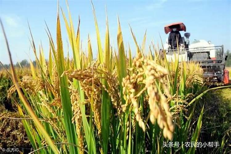中药材加工烘干机在哪里购多少钱