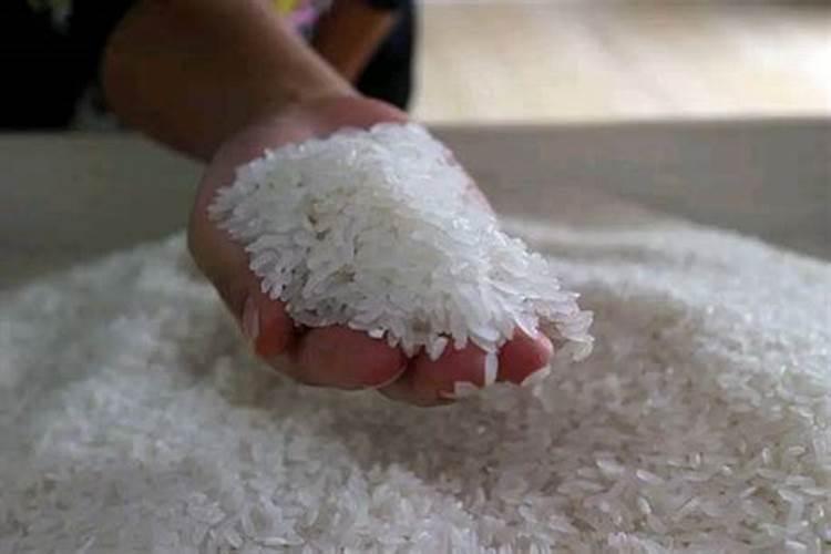 鱼蛋白对农作物的作用,鱼蛋白肥使用时间