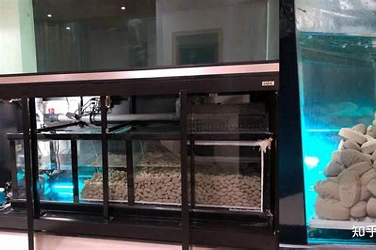 这样做才能保证咱们的苗木移栽成活