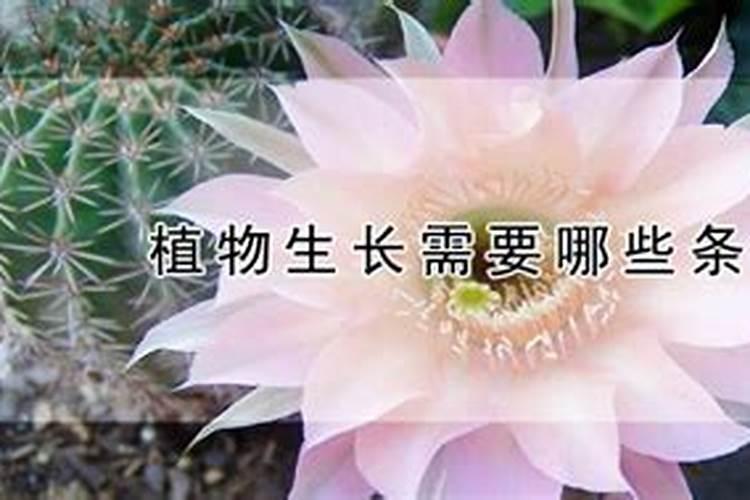 作物需求三大矿质元素 作物所需的大量元素有几种