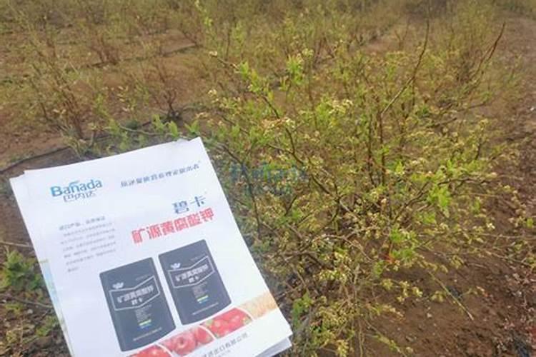 水溶肥有哪些类型,水溶肥的使用范围简介