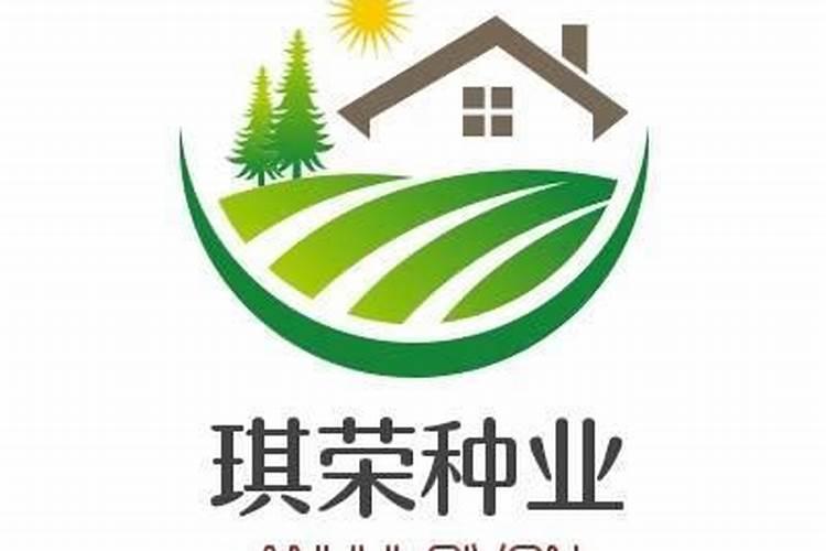 冬天也可以种荠菜？教你几个小技巧,一年都有新鲜荠菜吃