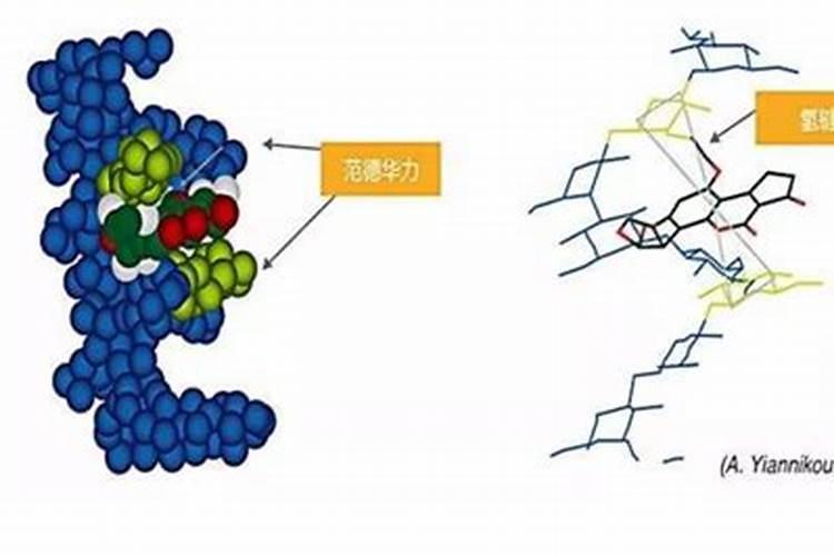 矿源黄腐酸钾的功效是什么？