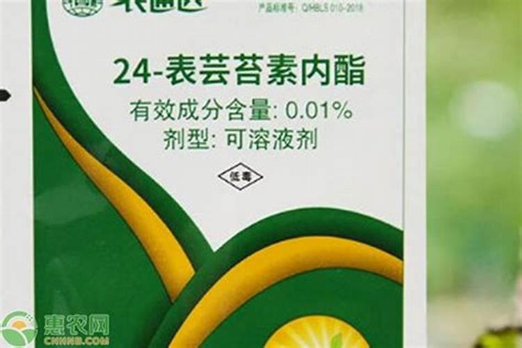 芦笋生长期喷施磷酸二氢钾尿素芸苔素好吗