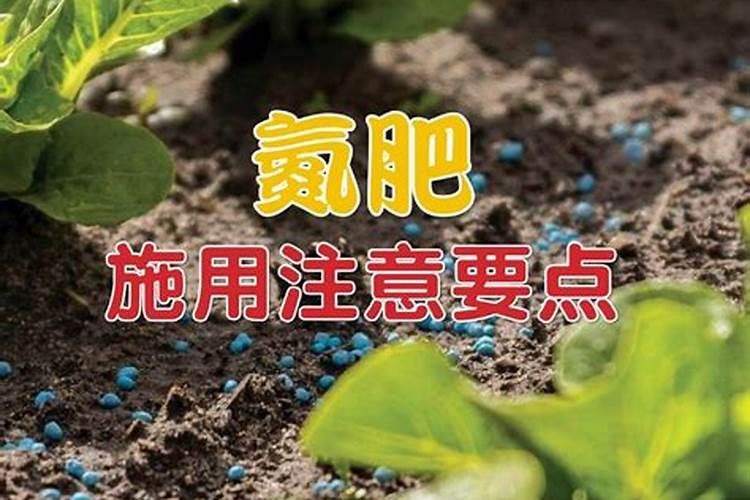氮肥施用方法及注意事项 氮肥使用过程中注意5大问题