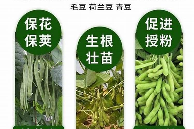 西安富玛乐冲施肥水溶肥好吗？