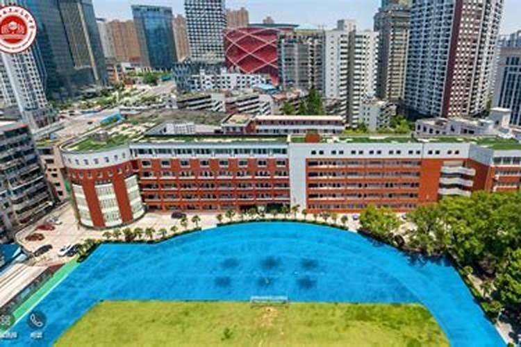 先正达益施帮叶面肥用在水果甘蔗上的应用与效果