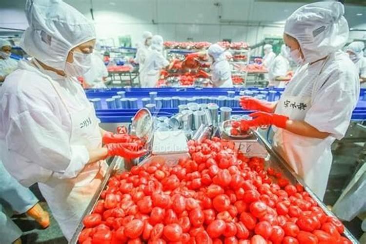 什么样的叶面肥补硼补钙效果好,能解决硼钙拮抗问题？