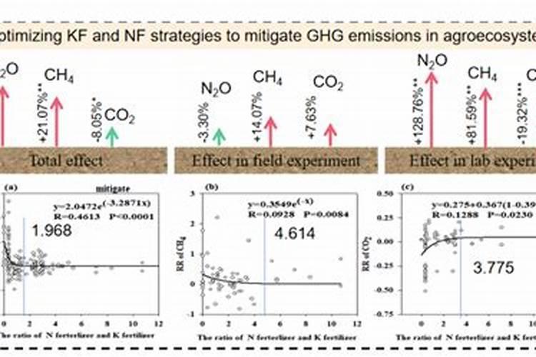 哪些肥料可以混合施用