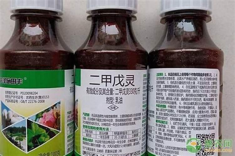 种甜叶菊用什么肥料