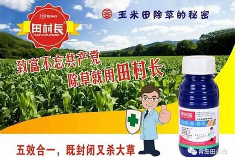 板栗树除草多功能肥料有什么样的配方和使用技术及注意事项有哪些？