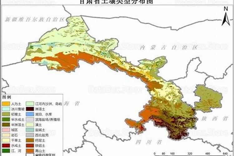 苦瓜用什么肥料最好