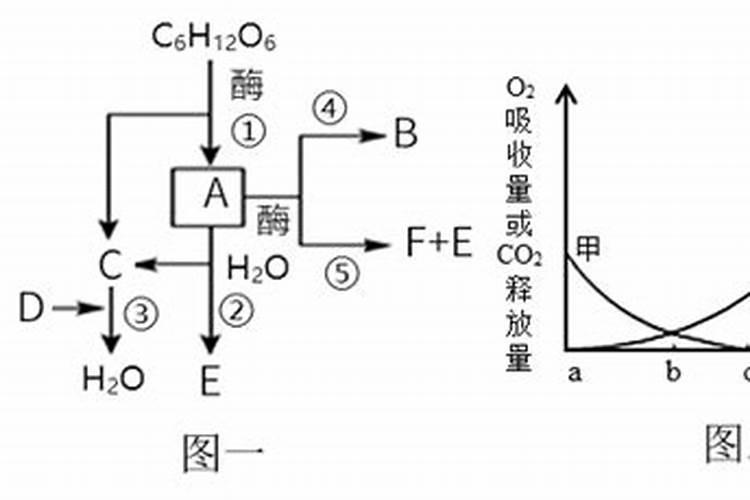 如何判断人尿发酵成功