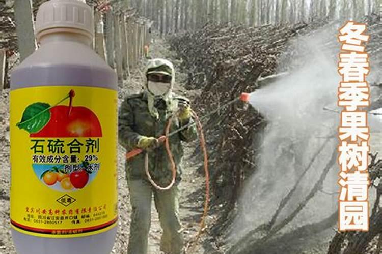石硫合剂的主要作用是杀虫还是杀菌？枸杞子雨后防止黑果应打什么药剂...