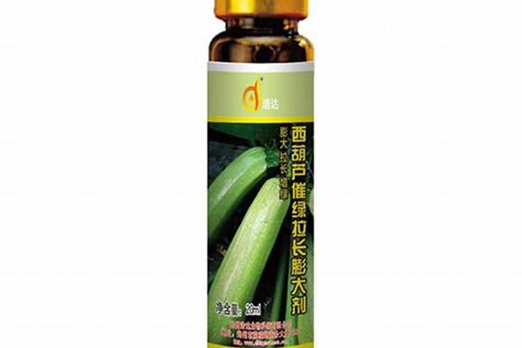 西葫芦的短粗瓜品相不好,怎么防治西葫芦的短粗瓜？