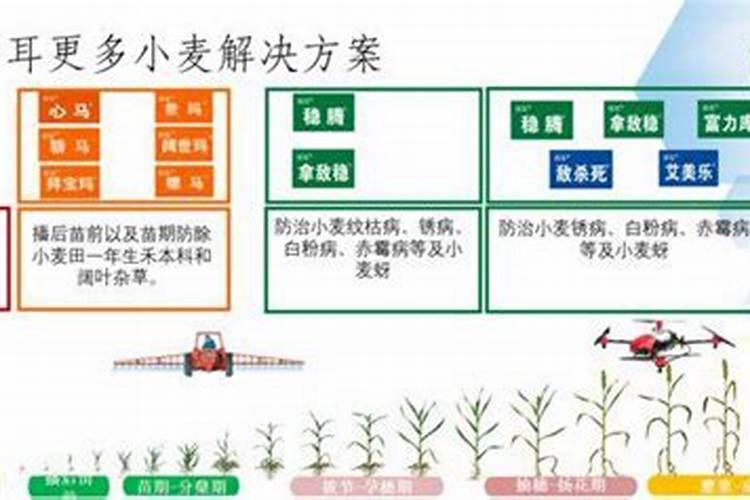 方向盘噻虫高氯氟能和拜耳沃生中量元素水溶肥一起使用吗？