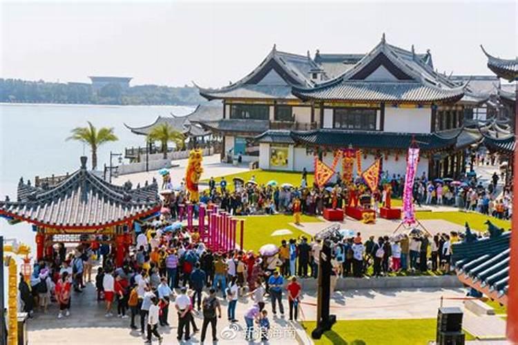 海岛春花的养殖方法是什么？