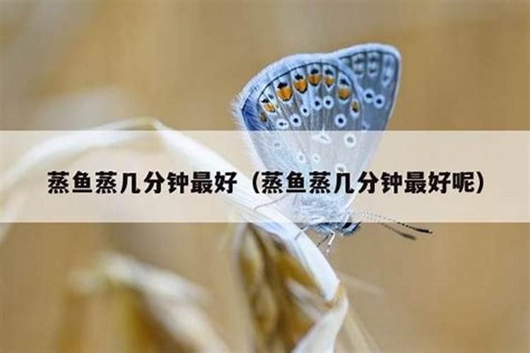 鱼蛋白使用注意事项
