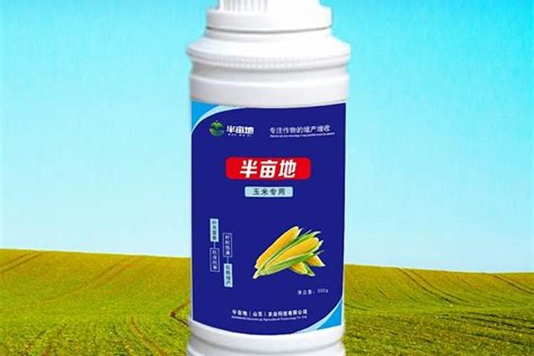 柴胡养护方法