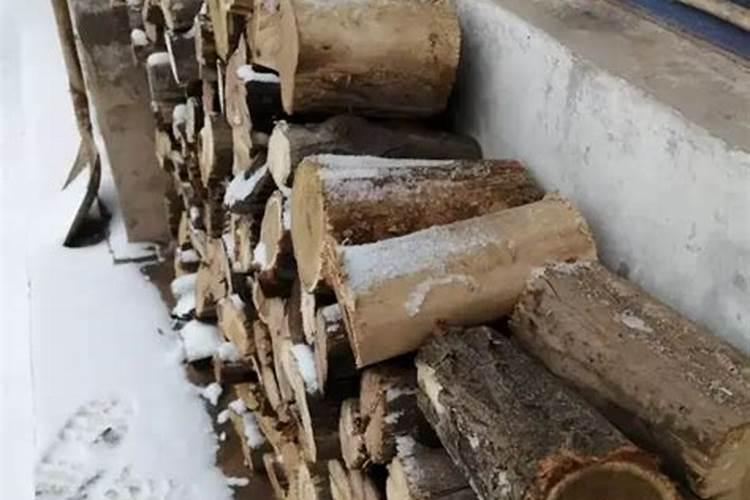 柴火灰可以种盆栽吗