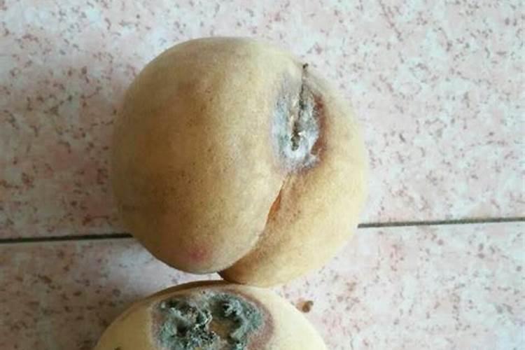 烂桃子做肥料养花可以吗