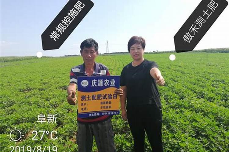 花生生长到什么时候控旺好