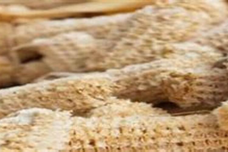 樱桃用什么肥料最合适而便宜(樱桃摘完及幼果期使用肥料)