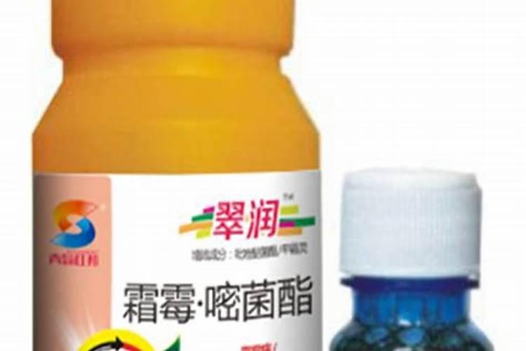 葡萄霜霉病的首选杀菌剂